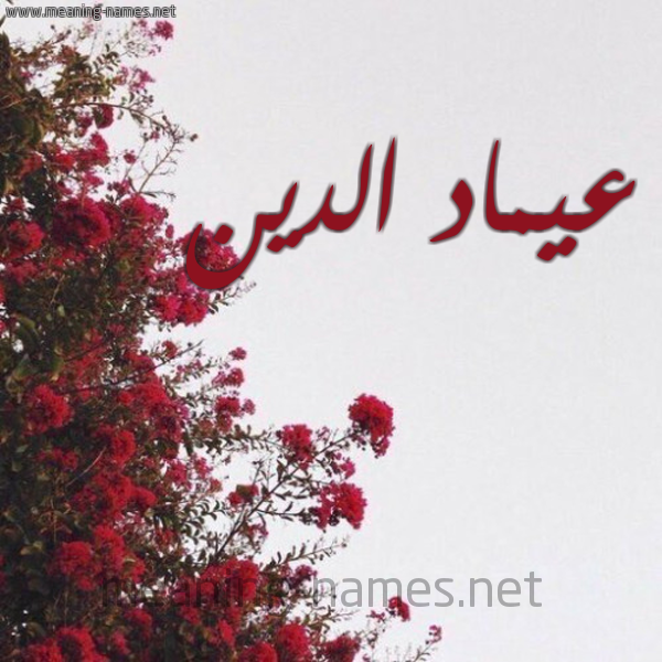 شكل 18 صوره الورد الأحمر للإسم بخط رقعة صورة اسم عيماد الدين Emad-Addin